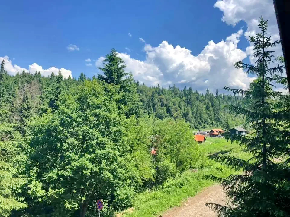 Homoródfürdő Szállás | Kulcsosház (K1253-35) A kép szerzői jogvédelem alatt állhat. Javasolt a kapcsolatfelvétel a jog tulajdonossal.