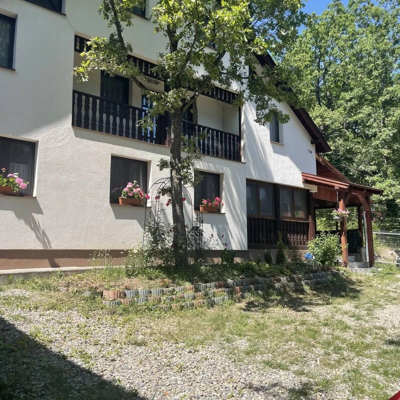 Băile Homorod Cazare | Pensiune (K1596-12) Imaginea poate fi supusă drepturilor de autor. Se recomandă contactarea titularului drepturilor.