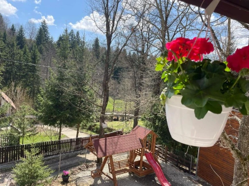 Băile Homorod Cazare | Pensiune (K1596-17) Imaginea poate fi supusă drepturilor de autor. Se recomandă contactarea titularului drepturilor.