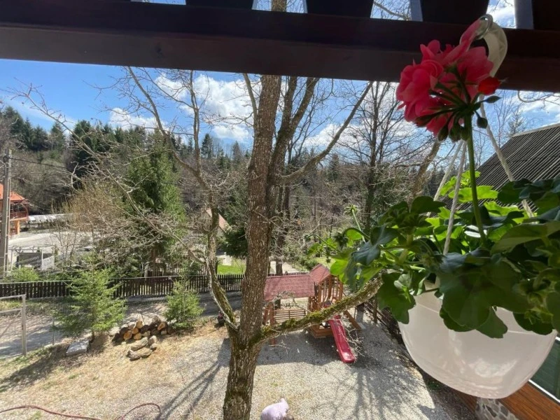 Băile Homorod Cazare | Pensiune (K1596-42) Imaginea poate fi supusă drepturilor de autor. Se recomandă contactarea titularului drepturilor.