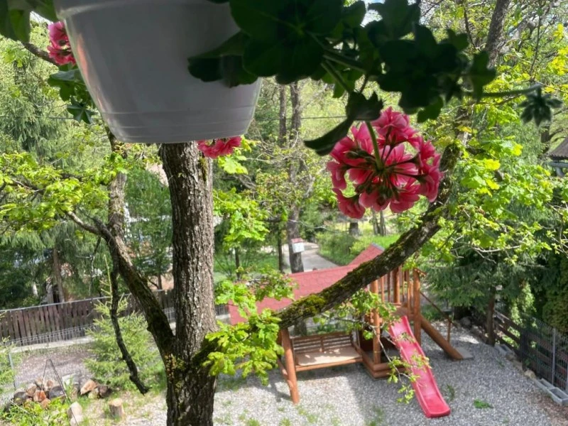 Homoródfürdő Szállás | Panzió (K1596-54) A kép szerzői jogvédelem alatt állhat. Javasolt a kapcsolatfelvétel a jog tulajdonossal.