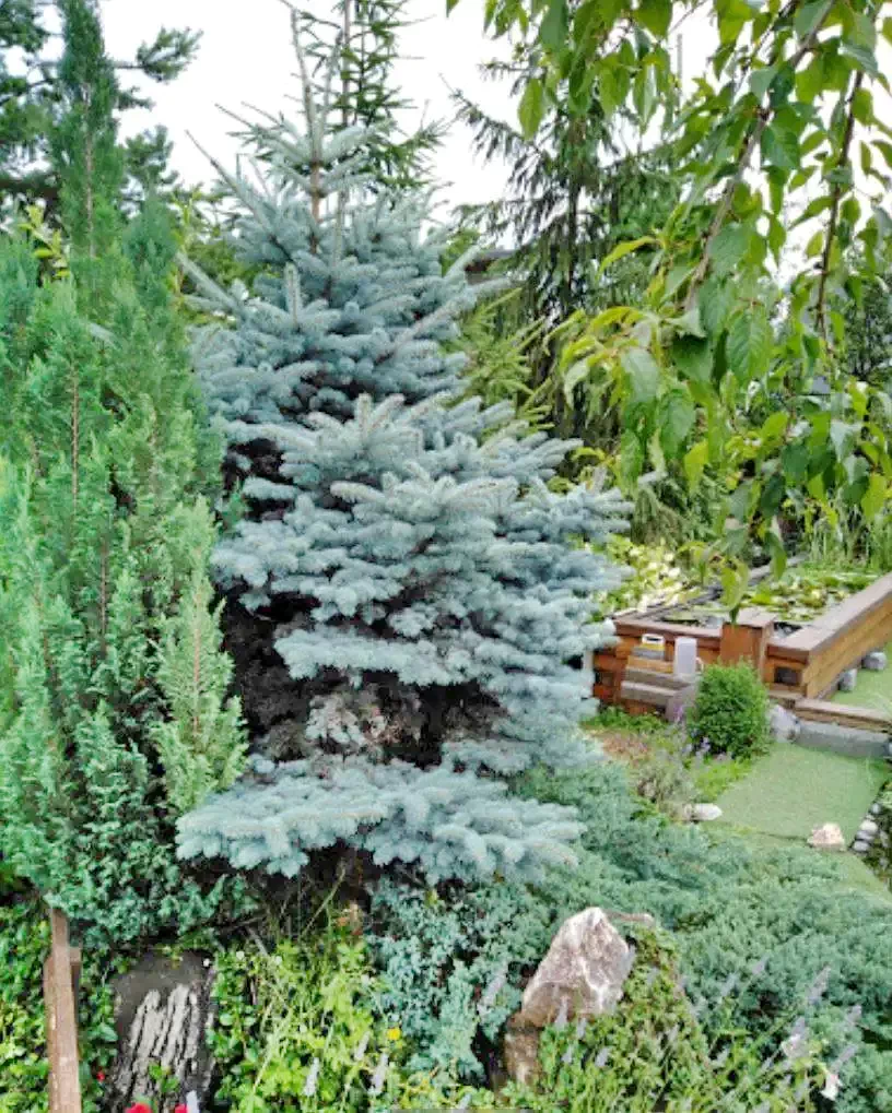 Odorheiu Secuiesc Cazare | Pensiune (K0091-73) Imaginea poate fi supusă drepturilor de autor. Se recomandă contactarea titularului drepturilor. Odorheiu Secuiesc Cazare | Pensiune (K0091-73) Imaginea poate fi supusă drepturilor de autor. Se recomandă contactarea titularului drepturilor.