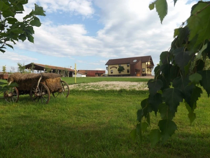 Sibiu Cazare | Pensiune (K1599-29) Imaginea poate fi supusă drepturilor de autor. Se recomandă contactarea titularului drepturilor. Sibiu Cazare | Pensiune (K1599-29) Imaginea poate fi supusă drepturilor de autor. Se recomandă contactarea titularului drepturilor.