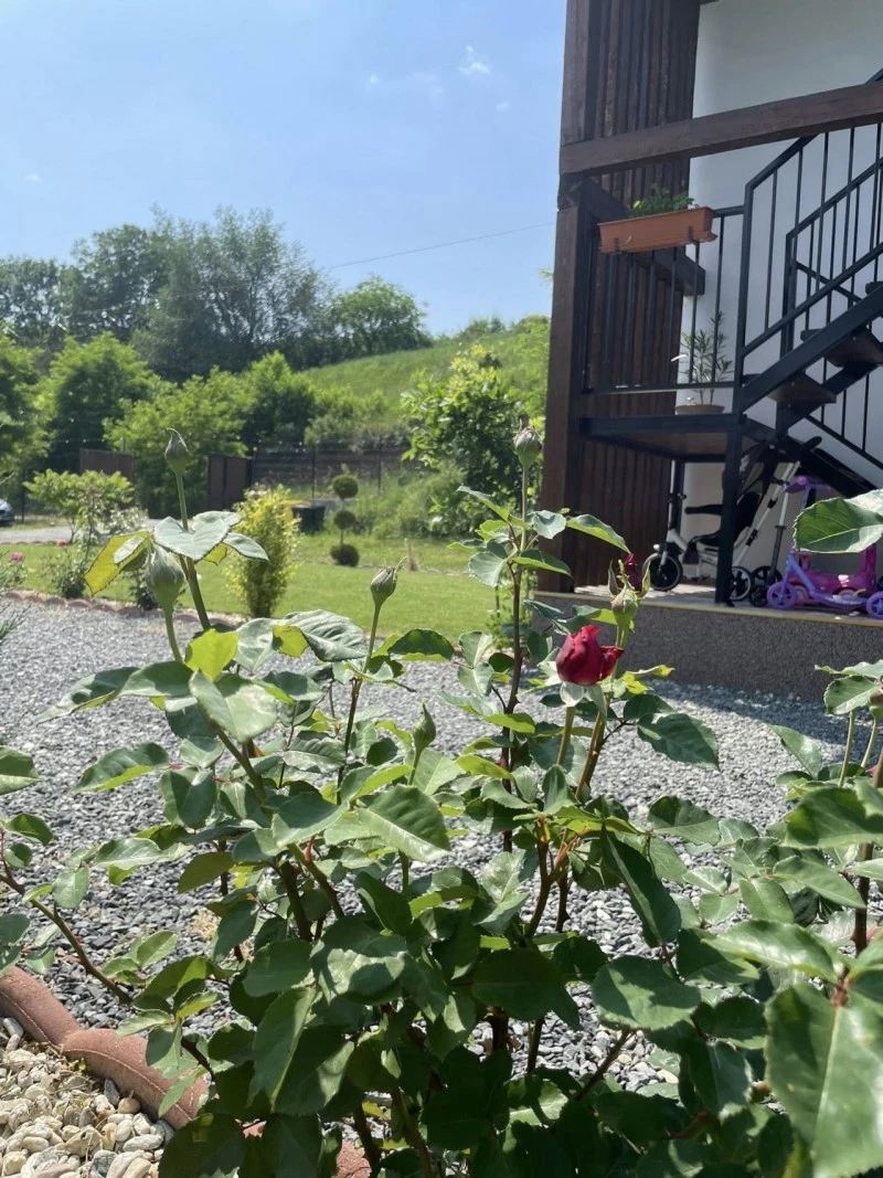 Sibiu Cazare | Pensiune (K1600-21) Imaginea poate fi supusă drepturilor de autor. Se recomandă contactarea titularului drepturilor.