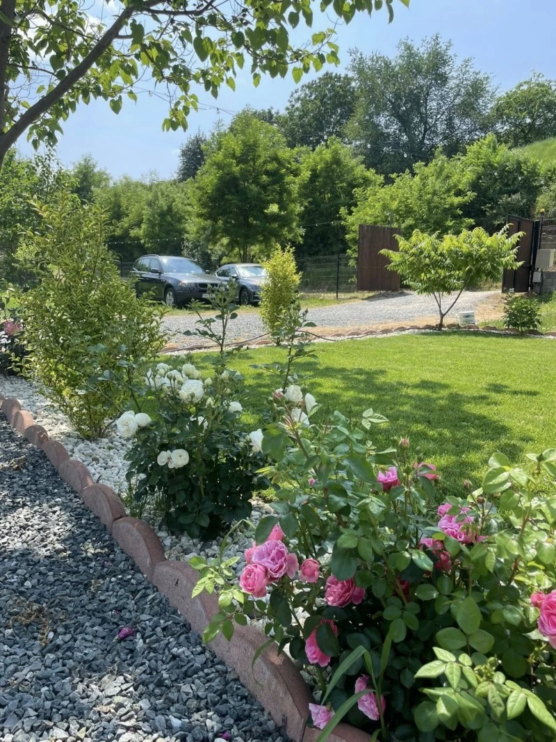 Nagyszeben Szállás | Panzió (K1600-25) A kép szerzői jogvédelem alatt állhat. Javasolt a kapcsolatfelvétel a jog tulajdonossal. Nagyszeben Szállás | Panzió (K1600-25) A kép szerzői jogvédelem alatt állhat. Javasolt a kapcsolatfelvétel a jog tulajdonossal.