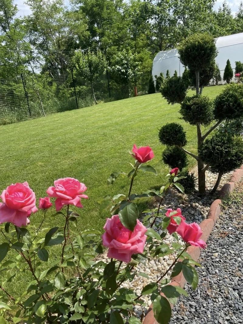 Nagyszeben Szállás | Panzió (K1600-28) A kép szerzői jogvédelem alatt állhat. Javasolt a kapcsolatfelvétel a jog tulajdonossal. Nagyszeben Szállás | Panzió (K1600-28) A kép szerzői jogvédelem alatt állhat. Javasolt a kapcsolatfelvétel a jog tulajdonossal.