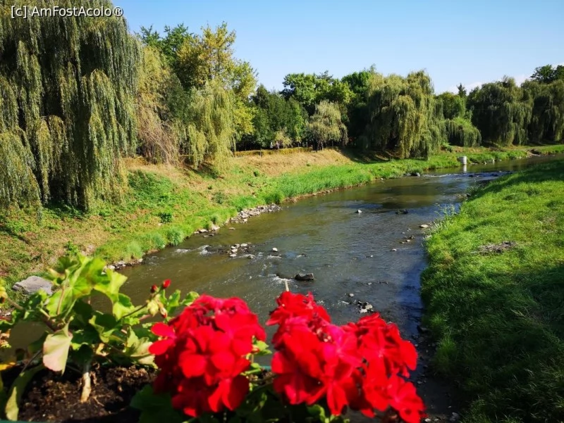 Odorheiu Secuiesc Cazare | Casă de oaspeți (K1501-41) Imaginea poate fi supusă drepturilor de autor. Se recomandă contactarea titularului drepturilor. Odorheiu Secuiesc Cazare | Casă de oaspeți (K1501-41) Imaginea poate fi supusă drepturilor de autor. Se recomandă contactarea titularului drepturilor.