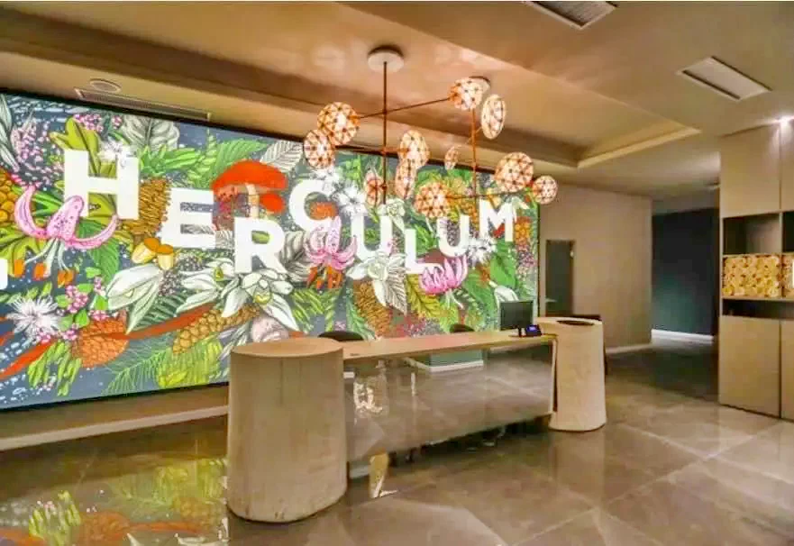 Herkulesfürdő Szállás | Hotel**** (K0873-22) A kép szerzői jogvédelem alatt állhat. Javasolt a kapcsolatfelvétel a jog tulajdonossal.