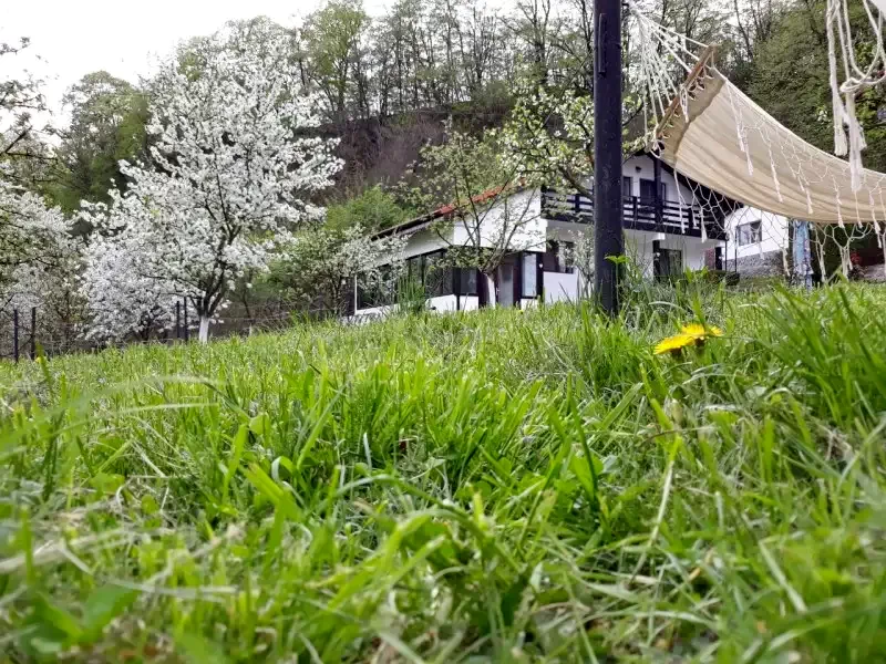 Băile Herculane Cazare | Pensiune (K0896-43) Imaginea poate fi supusă drepturilor de autor. Se recomandă contactarea titularului drepturilor. Băile Herculane Cazare | Pensiune (K0896-43) Imaginea poate fi supusă drepturilor de autor. Se recomandă contactarea titularului drepturilor.