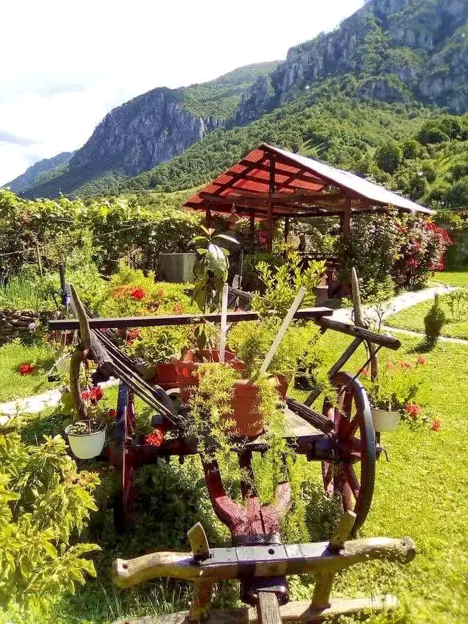 Băile Herculane Cazare | Pensiune (K0898-17) Imaginea poate fi supusă drepturilor de autor. Se recomandă contactarea titularului drepturilor.