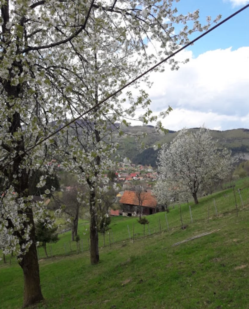 Törcsvár Szállás | Panzió (K0460-11) A kép szerzői jogvédelem alatt állhat. Javasolt a kapcsolatfelvétel a jog tulajdonossal. Törcsvár Szállás | Panzió (K0460-11) A kép szerzői jogvédelem alatt állhat. Javasolt a kapcsolatfelvétel a jog tulajdonossal.