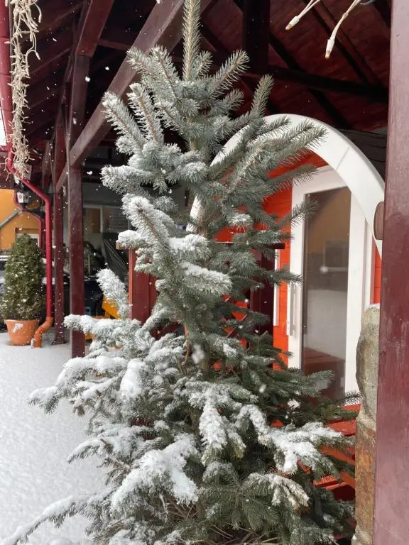 Korond Szállás | Panzió (K0144-69) A kép szerzői jogvédelem alatt állhat. Javasolt a kapcsolatfelvétel a jog tulajdonossal.