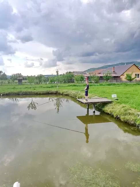 Korond Szállás | Kulcsosház (K0638-16) A kép szerzői jogvédelem alatt állhat. Javasolt a kapcsolatfelvétel a jog tulajdonossal.