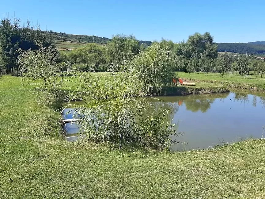 Corund Cazare | Cabană (K0638-33) Imaginea poate fi supusă drepturilor de autor. Se recomandă contactarea titularului drepturilor. Corund Cazare | Cabană (K0638-33) Imaginea poate fi supusă drepturilor de autor. Se recomandă contactarea titularului drepturilor.