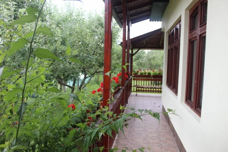 Sovata Cazare | Casă de oaspeți (K1570-10) Imaginea poate fi supusă drepturilor de autor. Se recomandă contactarea titularului drepturilor. Sovata Cazare | Casă de oaspeți (K1570-10) Imaginea poate fi supusă drepturilor de autor. Se recomandă contactarea titularului drepturilor.