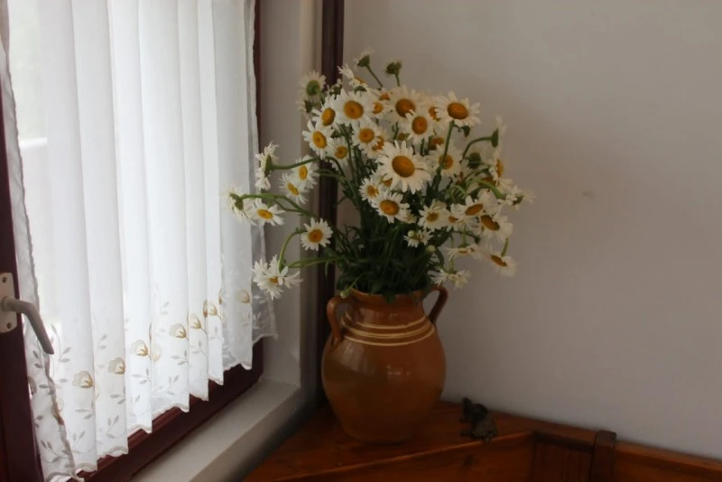 Sovata Cazare | Casă de oaspeți (K1570-36) Imaginea poate fi supusă drepturilor de autor. Se recomandă contactarea titularului drepturilor. Sovata Cazare | Casă de oaspeți (K1570-36) Imaginea poate fi supusă drepturilor de autor. Se recomandă contactarea titularului drepturilor.