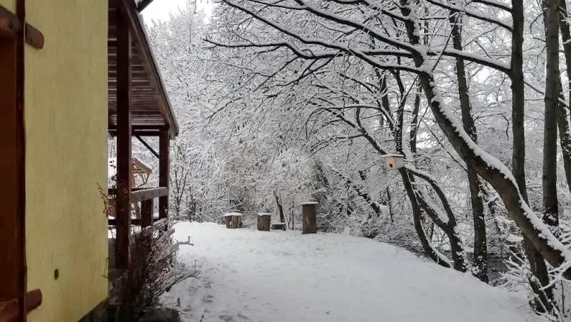 Sovata Cazare | Cabană (K0197-24) Imaginea poate fi supusă drepturilor de autor. Se recomandă contactarea titularului drepturilor. Sovata Cazare | Cabană (K0197-24) Imaginea poate fi supusă drepturilor de autor. Se recomandă contactarea titularului drepturilor.