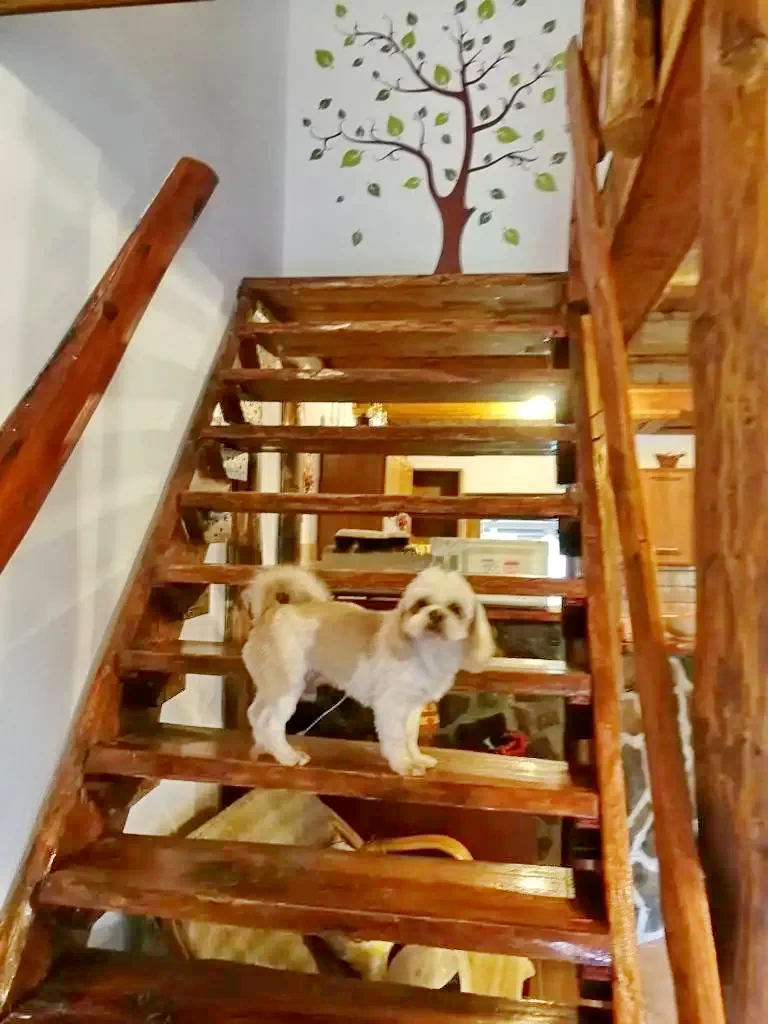 Cazare Câmpu Cetății - Casa de vacanță Imola Timea | Vármező - Imola Timea Kulcsosház. Imaginea poate fi supusă drepturilor de autor. Se recomandă contactarea titularului drepturilor.