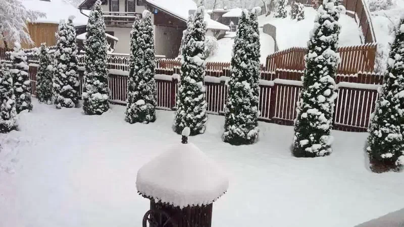 Cazare Câmpu Cetății - Casa de vacanță Imola Timea | Vármező - Imola Timea Kulcsosház. Imaginea poate fi supusă drepturilor de autor. Se recomandă contactarea titularului drepturilor.