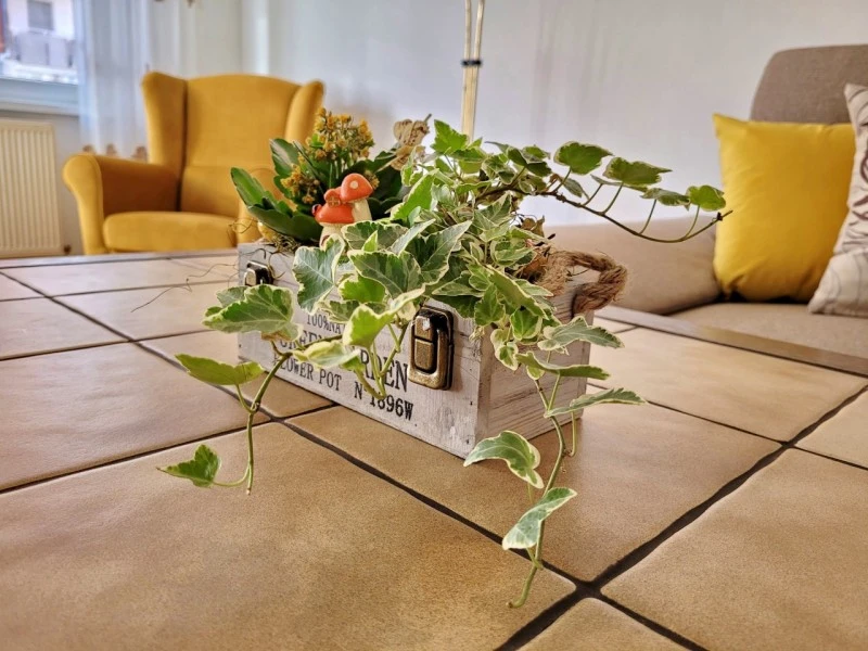 Cazare Odorheiu Secuiesc - Apartament Flora | Székelyudvarhely - Flóra Apartman. Imaginea poate fi supusă drepturilor de autor. Se recomandă contactarea titularului drepturilor.