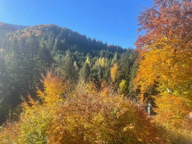 Brassó Szállás | Panzió (K1593-25) A kép szerzői jogvédelem alatt állhat. Javasolt a kapcsolatfelvétel a jog tulajdonossal.