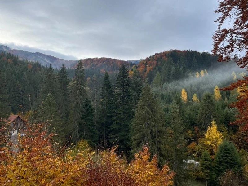 Brașov Cazare | Pensiune (K1593-26) Imaginea poate fi supusă drepturilor de autor. Se recomandă contactarea titularului drepturilor. Brașov Cazare | Pensiune (K1593-26) Imaginea poate fi supusă drepturilor de autor. Se recomandă contactarea titularului drepturilor.