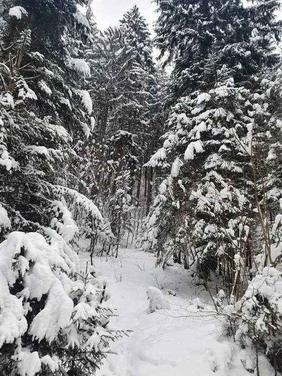 Brașov Cazare | Pensiune (K1593-32) Imaginea poate fi supusă drepturilor de autor. Se recomandă contactarea titularului drepturilor. Brașov Cazare | Pensiune (K1593-32) Imaginea poate fi supusă drepturilor de autor. Se recomandă contactarea titularului drepturilor.