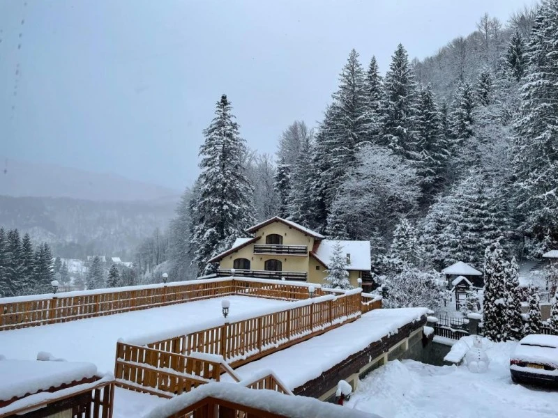 Brașov Cazare | Pensiune (K1593-33) Imaginea poate fi supusă drepturilor de autor. Se recomandă contactarea titularului drepturilor. Brașov Cazare | Pensiune (K1593-33) Imaginea poate fi supusă drepturilor de autor. Se recomandă contactarea titularului drepturilor.