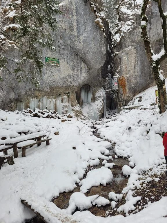 Brașov Cazare | Pensiune (K1593-34) Imaginea poate fi supusă drepturilor de autor. Se recomandă contactarea titularului drepturilor. Brașov Cazare | Pensiune (K1593-34) Imaginea poate fi supusă drepturilor de autor. Se recomandă contactarea titularului drepturilor.