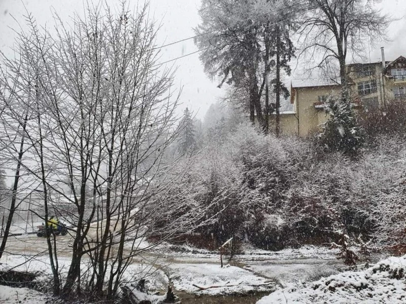 Brașov Cazare | Pensiune (K1593-35) Imaginea poate fi supusă drepturilor de autor. Se recomandă contactarea titularului drepturilor. Brașov Cazare | Pensiune (K1593-35) Imaginea poate fi supusă drepturilor de autor. Se recomandă contactarea titularului drepturilor.