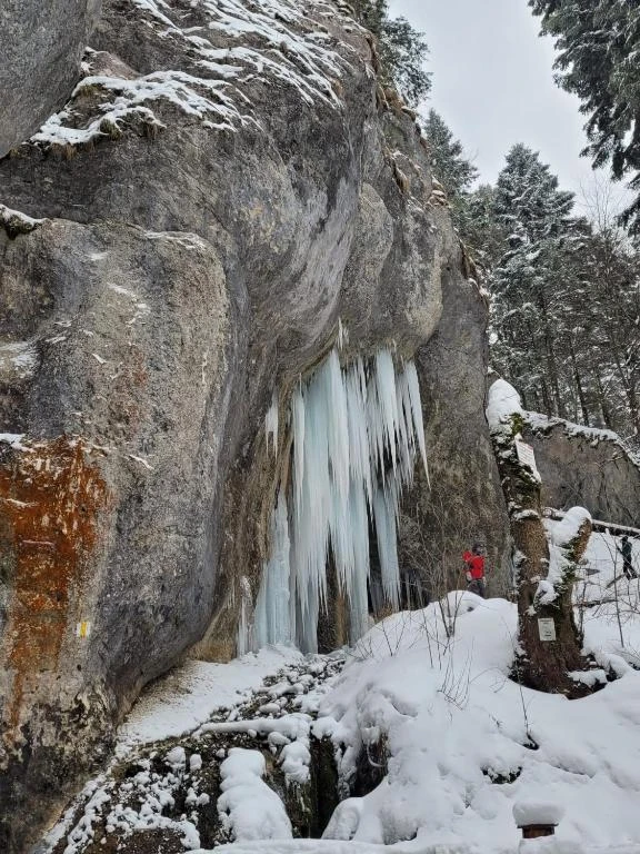 Brașov Cazare | Pensiune (K1593-36) Imaginea poate fi supusă drepturilor de autor. Se recomandă contactarea titularului drepturilor. Brașov Cazare | Pensiune (K1593-36) Imaginea poate fi supusă drepturilor de autor. Se recomandă contactarea titularului drepturilor.