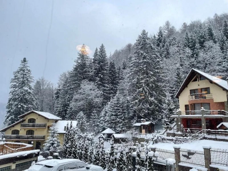 Brassó Szállás | Panzió (K1593-37) A kép szerzői jogvédelem alatt állhat. Javasolt a kapcsolatfelvétel a jog tulajdonossal.