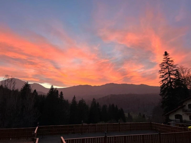 Brașov Cazare | Pensiune (K1593-55) Imaginea poate fi supusă drepturilor de autor. Se recomandă contactarea titularului drepturilor. Brașov Cazare | Pensiune (K1593-55) Imaginea poate fi supusă drepturilor de autor. Se recomandă contactarea titularului drepturilor.