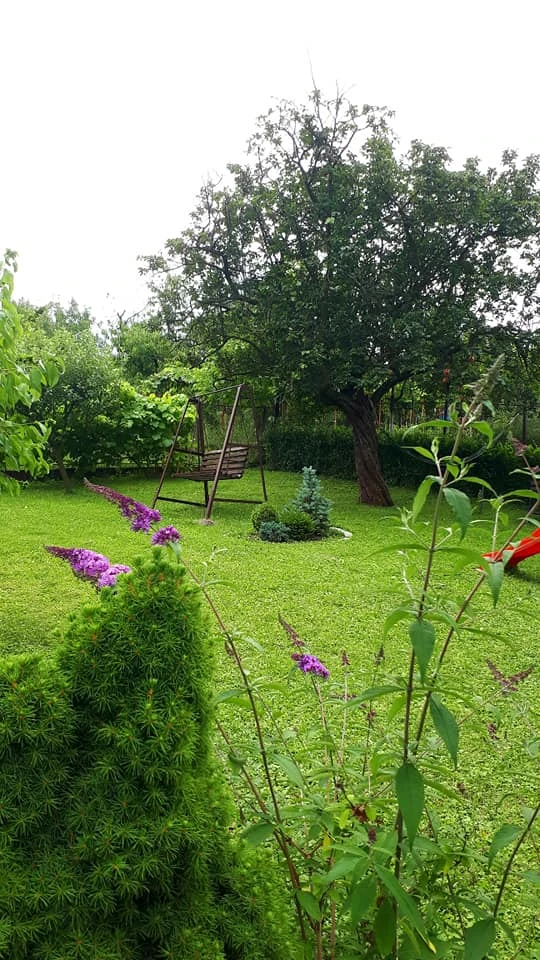 Deva Cazare | Pensiune (K1152-58) Imaginea poate fi supusă drepturilor de autor. Se recomandă contactarea titularului drepturilor. Deva Cazare | Pensiune (K1152-58) Imaginea poate fi supusă drepturilor de autor. Se recomandă contactarea titularului drepturilor.