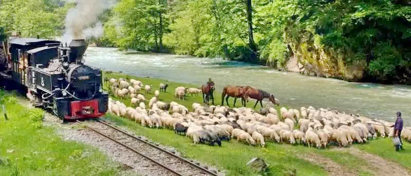 Szállás Baia Sprie - Pensiunea Verde *** | Felsőbánya - Zöld Panzió ***. A kép szerzői jogvédelem alatt állhat. Javasolt a kapcsolatfelvétel a jog tulajdonossal.