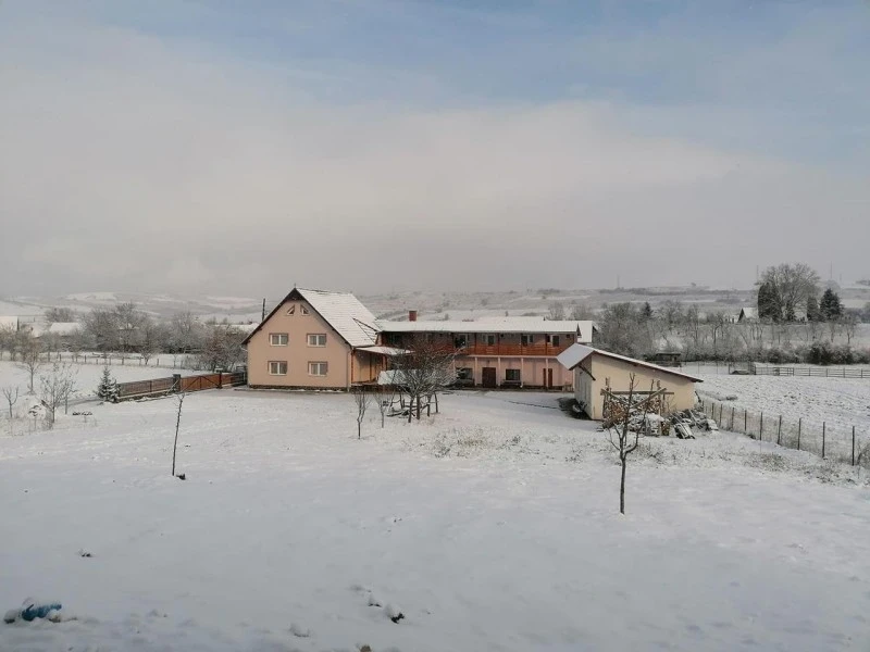 Székelyudvarhely Szállás | Panzió (K0112-50) A kép szerzői jogvédelem alatt állhat. Javasolt a kapcsolatfelvétel a jog tulajdonossal.