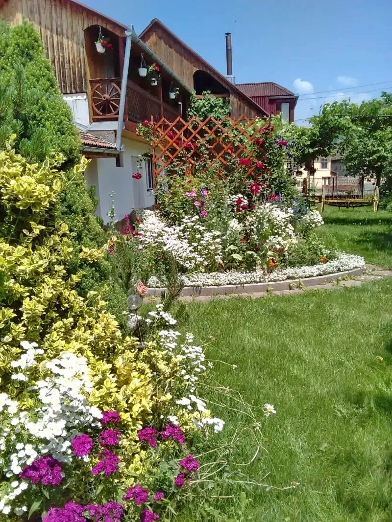 Odorheiu Secuiesc Cazare | Casă de oaspeți (K0159-2) Imaginea poate fi supusă drepturilor de autor. Se recomandă contactarea titularului drepturilor.