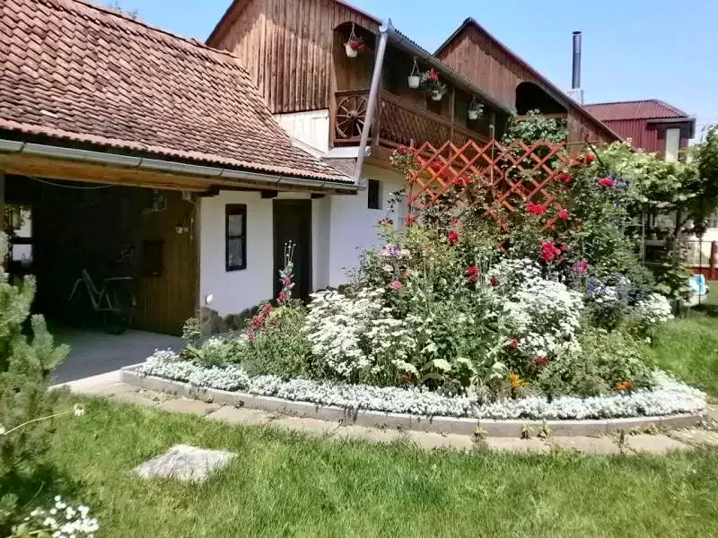 Székelyudvarhely Szállás | Vendégház (K0159-23) A kép szerzői jogvédelem alatt állhat. Javasolt a kapcsolatfelvétel a jog tulajdonossal. Székelyudvarhely Szállás | Vendégház (K0159-23) A kép szerzői jogvédelem alatt állhat. Javasolt a kapcsolatfelvétel a jog tulajdonossal.