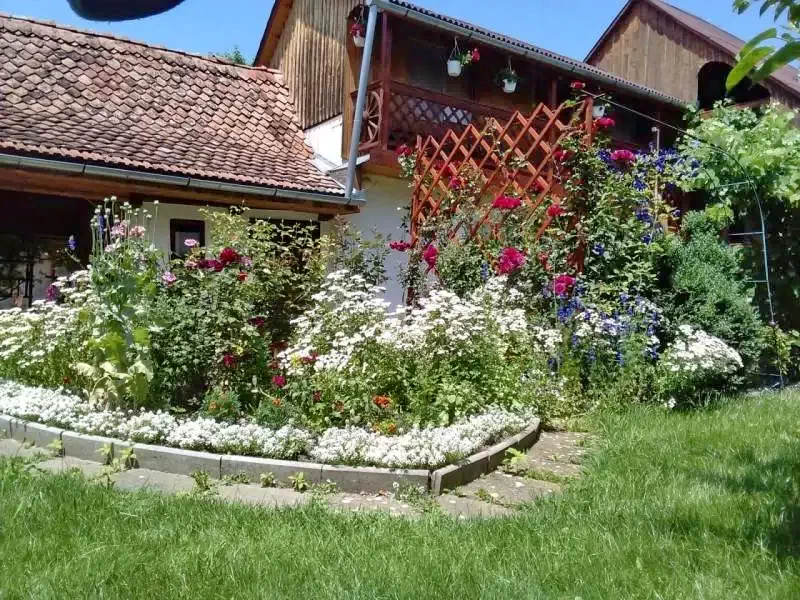 Odorheiu Secuiesc Cazare | Casă de oaspeți (K0159-40) Imaginea poate fi supusă drepturilor de autor. Se recomandă contactarea titularului drepturilor.