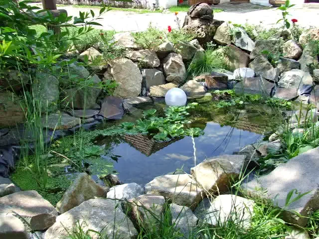 Odorheiu Secuiesc Cazare | Pensiune (K0634-38) Imaginea poate fi supusă drepturilor de autor. Se recomandă contactarea titularului drepturilor.