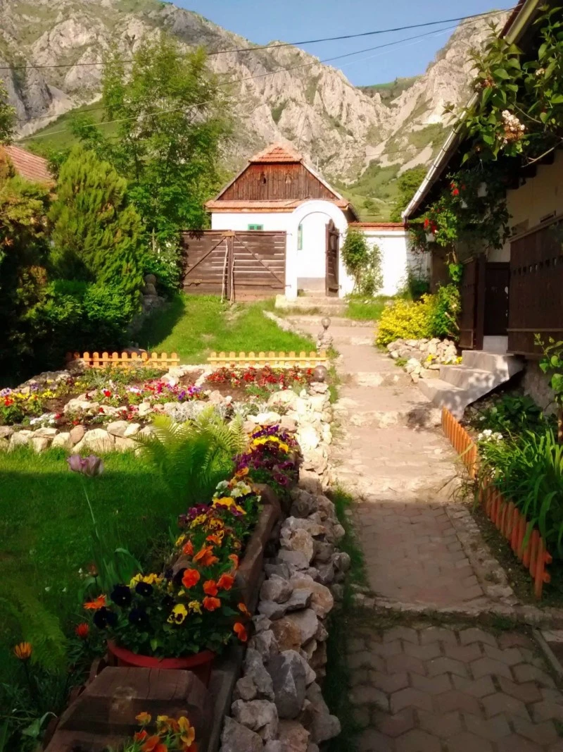 Rimetea Cazare | Pensiune (K0450-63) Imaginea poate fi supusă drepturilor de autor. Se recomandă contactarea titularului drepturilor.