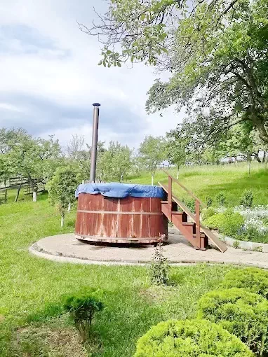 Harghita Madaras Cazare | Pensiune (K0610-50) Imaginea poate fi supusă drepturilor de autor. Se recomandă contactarea titularului drepturilor.