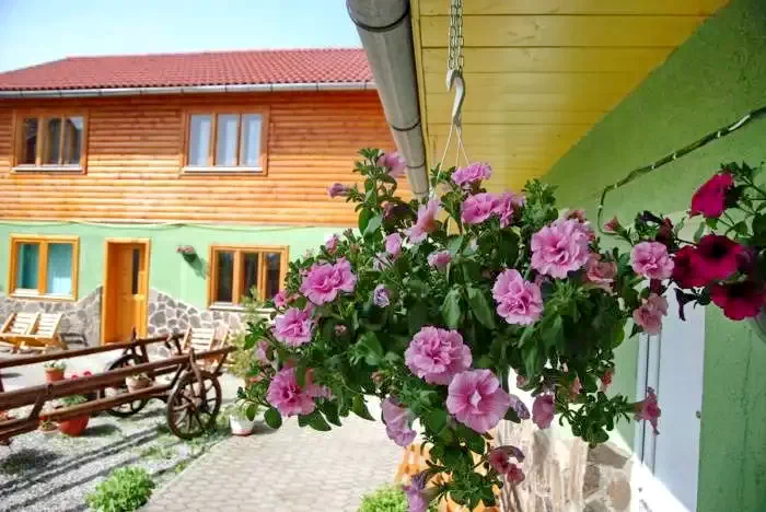 Madarasi Hargita Szállás | Panzió (K1141-5) A kép szerzői jogvédelem alatt állhat. Javasolt a kapcsolatfelvétel a jog tulajdonossal. Madarasi Hargita Szállás | Panzió (K1141-5) A kép szerzői jogvédelem alatt állhat. Javasolt a kapcsolatfelvétel a jog tulajdonossal.