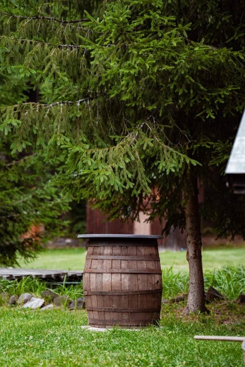 Harghita Madaras Cazare | Cabană (K0225-26) Imaginea poate fi supusă drepturilor de autor. Se recomandă contactarea titularului drepturilor.