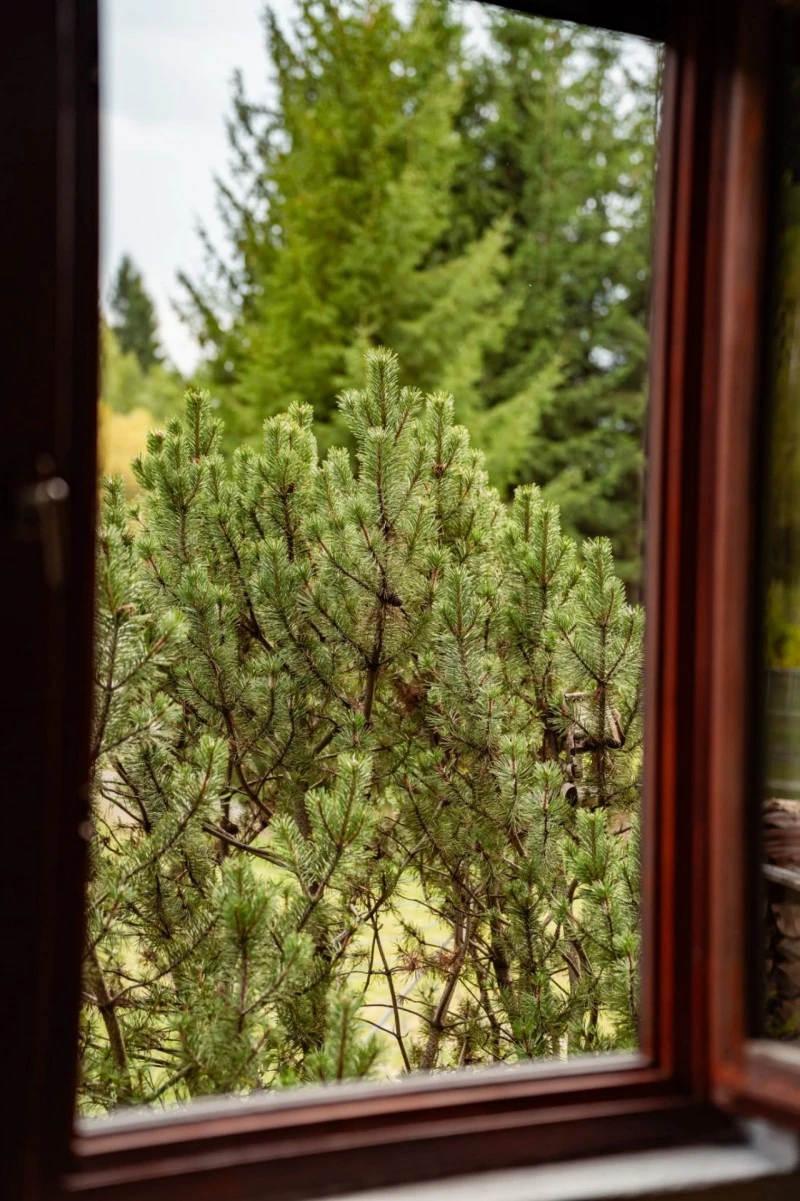 Madarasi Hargita Szállás | Kulcsosház (K0225-62) A kép szerzői jogvédelem alatt állhat. Javasolt a kapcsolatfelvétel a jog tulajdonossal. Madarasi Hargita Szállás | Kulcsosház (K0225-62) A kép szerzői jogvédelem alatt állhat. Javasolt a kapcsolatfelvétel a jog tulajdonossal.