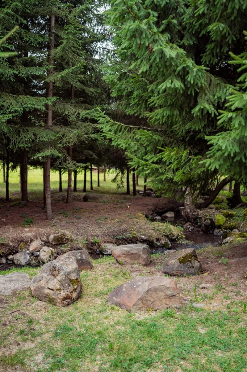 Madarasi Hargita Szállás | Kulcsosház (K0225-69) A kép szerzői jogvédelem alatt állhat. Javasolt a kapcsolatfelvétel a jog tulajdonossal. Madarasi Hargita Szállás | Kulcsosház (K0225-69) A kép szerzői jogvédelem alatt állhat. Javasolt a kapcsolatfelvétel a jog tulajdonossal.