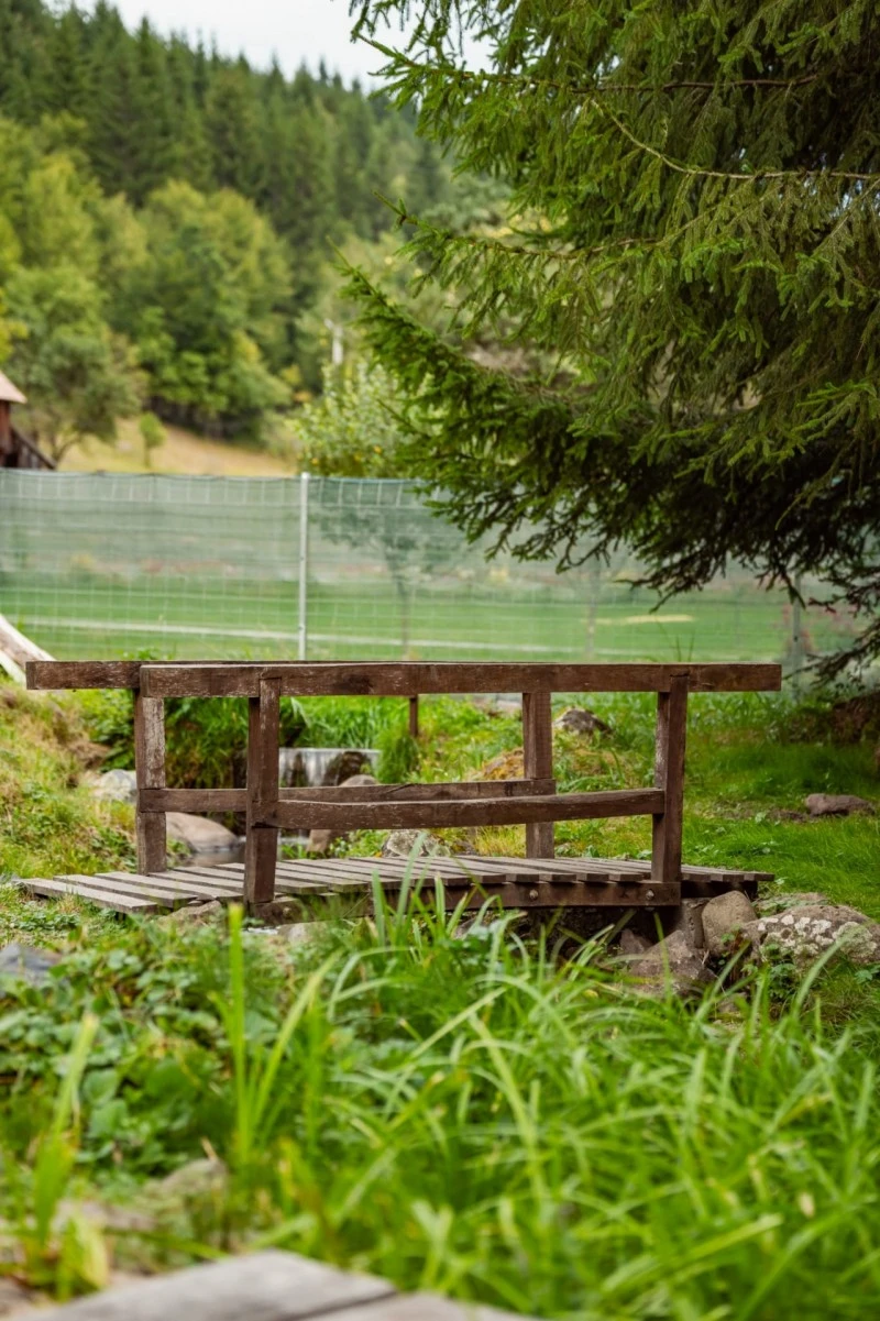 Madarasi Hargita Szállás | Kulcsosház (K0225-70) A kép szerzői jogvédelem alatt állhat. Javasolt a kapcsolatfelvétel a jog tulajdonossal. Madarasi Hargita Szállás | Kulcsosház (K0225-70) A kép szerzői jogvédelem alatt állhat. Javasolt a kapcsolatfelvétel a jog tulajdonossal.