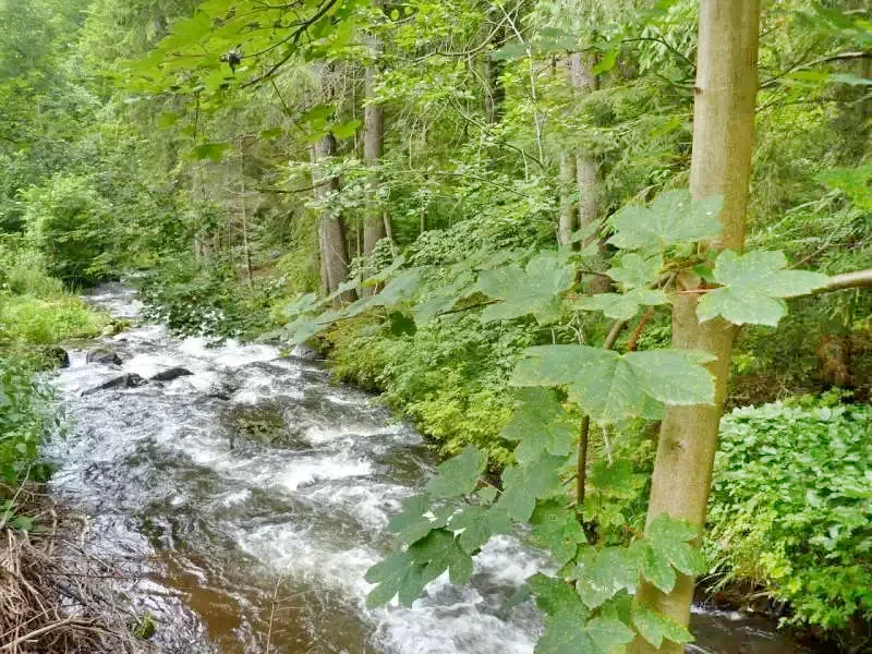 Madarasi Hargita Szállás | Kulcsosház (K0281-37) A kép szerzői jogvédelem alatt állhat. Javasolt a kapcsolatfelvétel a jog tulajdonossal.