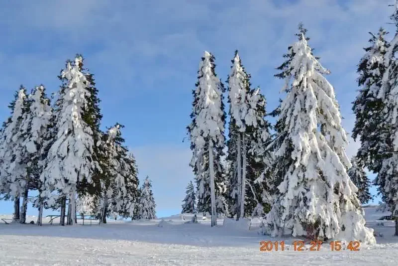 Madarasi Hargita Szállás | Kulcsosház (K0388-30) A kép szerzői jogvédelem alatt állhat. Javasolt a kapcsolatfelvétel a jog tulajdonossal. Madarasi Hargita Szállás | Kulcsosház (K0388-30) A kép szerzői jogvédelem alatt állhat. Javasolt a kapcsolatfelvétel a jog tulajdonossal.