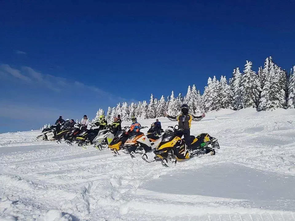 Madarasi Hargita Szállás | Kulcsosház (K0388-39) A kép szerzői jogvédelem alatt állhat. Javasolt a kapcsolatfelvétel a jog tulajdonossal. Madarasi Hargita Szállás | Kulcsosház (K0388-39) A kép szerzői jogvédelem alatt állhat. Javasolt a kapcsolatfelvétel a jog tulajdonossal.